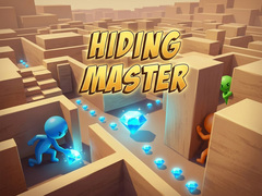 Spil Hiding Master