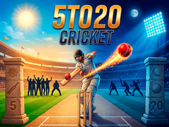 Spil 5TO20 Cricket