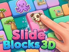Spil Slide Blocks 3D