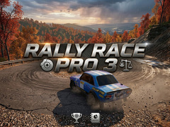 Spil Rally Race Pro 3