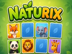 Spil Naturix