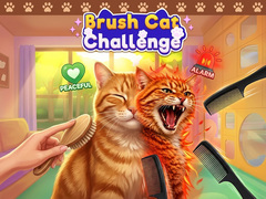 Spil Brush Cat Challenge 