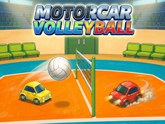 Spil Motorcar volleyball