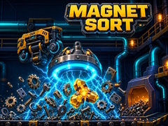 Spil Magnet Sort