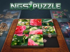 Spil NGS Puzzle