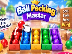 Spil Packing Master Puzzle