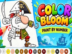 Spil Color Bloom Paint by Number