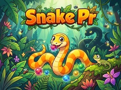 Spil Snake Pr