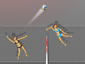 Spil Ragdoll Volleyball